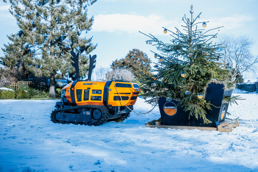 Christmas Tree Trail at Ludlow Castle